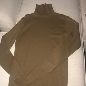 Long brown turtleneck